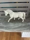 Schleich Lipizzaner Mare White Horse with Braids #13819 2017 Figure