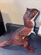 Mattel 14&rdquo; Wide 10&rdquo; T Jurassic World Action Attack Carnotaurus Dinosaur Figure