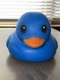 Sunny Days Blue Rubber Duck Toy 2025 Collectible Bath Play MPN 470509