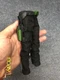 1/6 Hot Toys MMS151 Spider-Man 3 Green Goblin Pants Belt for Action Figure