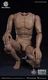 WorldBox AT020 1/6 Standard Flexible Muscle Body Action Figure 12inches Doll Toy