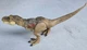 Jurassic World Jurassic Park Tyrannosaurus Rex 7 in Action Figure 
