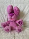 Blues Clues & You Peek A Boo Magenta Plush Dog Talks Ears Move Nickelodeon
