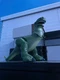 Disney Pixar Toy Story Talking Rex 12" 11 Phrases Plastic Talking Toy - Green