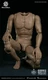 WorldBox 1/6 Soldier Strong Muscle Fitness Spider Male Figure Body Tan Skin Doll