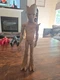 Hasbro Marvel Avengers Teen Groot 11 Inch Action Figure Toy 2017 Infinity War