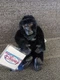 Disney Store - Mighty Joe Young - 8" Plush - New w/ Tags - Black Gorilla