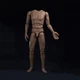 WorldBox 1/6th Scale Male Action Figure Body AT020 Strong Muscle Flexible Model