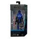 HASBRO Hasbro Hasbro Star Wars Imperial Senate Guard Figure (6 Inch) The Black S