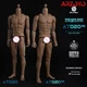 1:6 WorldBox AT020 Pro Flexible Joint Body 12" Male Soldier Action Figure Body