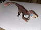 Dinosaurs Utahraptor Toy Figure 14582 Schleich 11627
