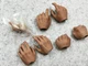 Hands Figure 1/6 MMS466 Accessories HT Hot Toys The Matrix Neo Collectible PVC