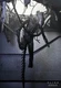 Genuine NECA Aliens: Romulus Xenomorph XX121 Deluxe #c1ab4a